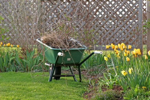 Flower Bed Cleanup Service in Plant City