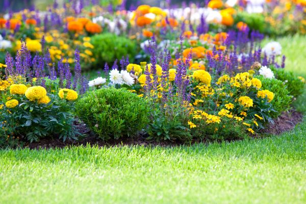 Flower Bed Maintenance in Plant City