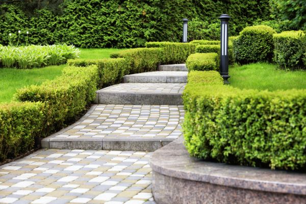 Backyard Remodeling in Plant City