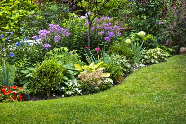 Flower Bed Service in Plant City