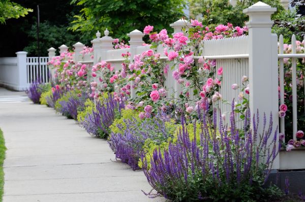 Garden Handyman Service in Plant City