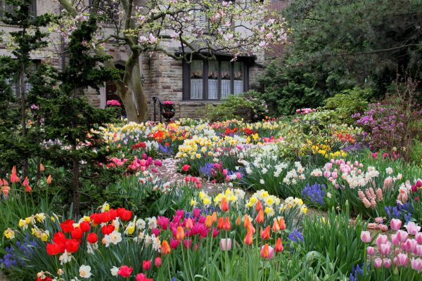 Garden Maintenance Service in Plant City