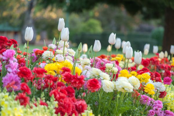 Gardening Service in Plant City