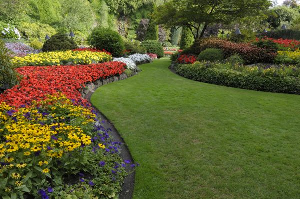 Landscaping Maintenance in Plant City