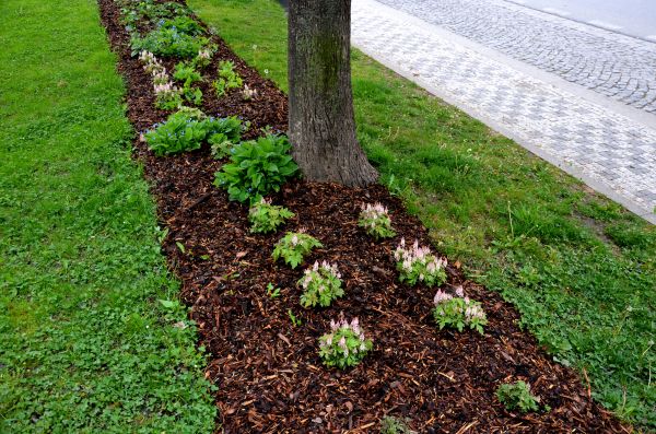 Mulch Replacement Service in Plant City