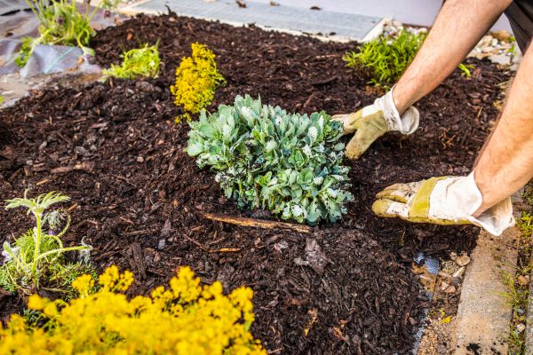 Weeding And Mulching in Plant City