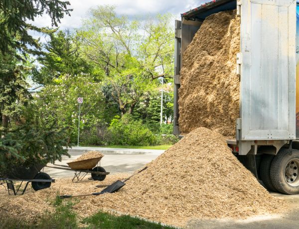 Wood Chips Delivery in Plant City