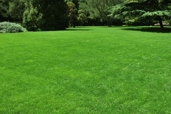 Lawn Landscaping in Plant City