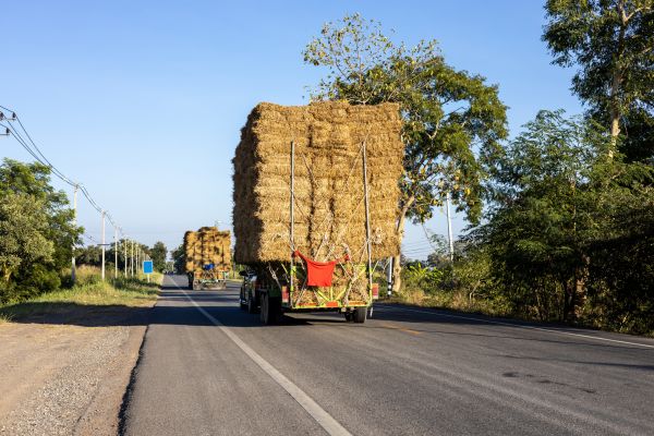 Pine Straw Delivery in Plant City