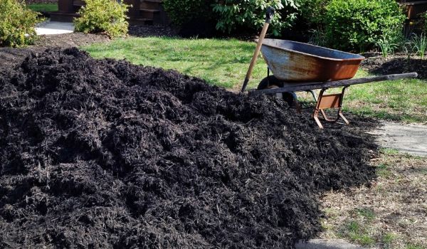 Black Mulch Delivery in Plant City