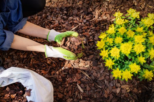 Garden Mulching in Plant City