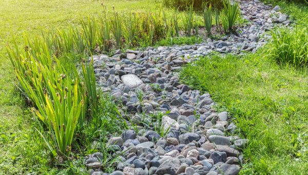 River Rock Garden Installation in Plant City
