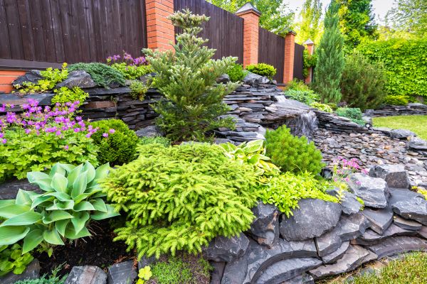 Landscape Remodeling in Plant City