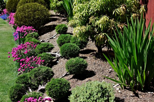 Residential Gardening in Plant City