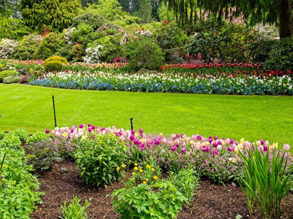 Residential Landscape Design in Plant City