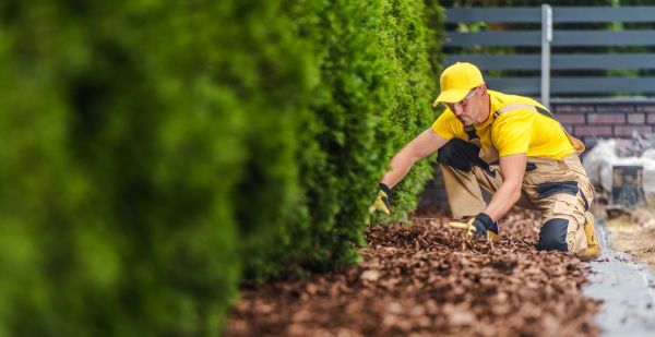 Cypress Mulch Installation in Plant City