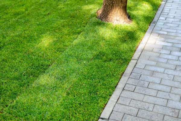 Border Stone Installation in Plant City