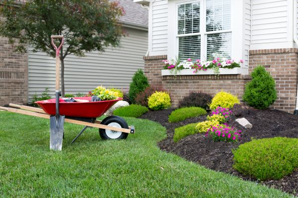 Tree And Shrub Planting in Plant City