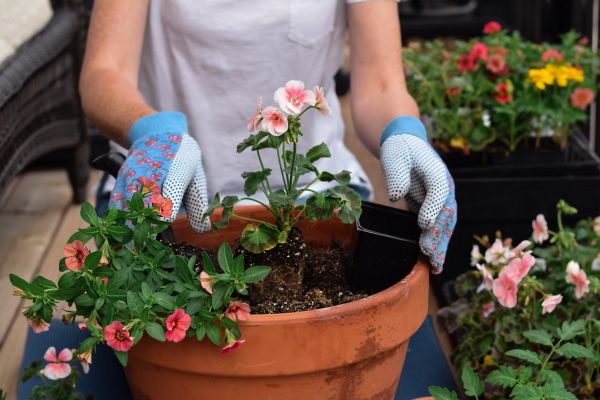 Plant Care Service in Plant City