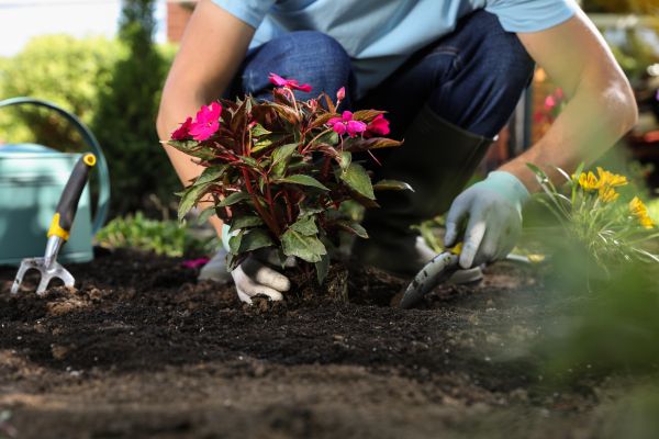 Plant Installation in Plant City