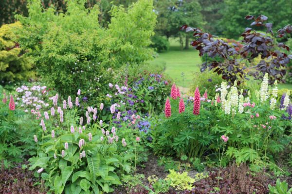 Flower Bed Planting in Plant City