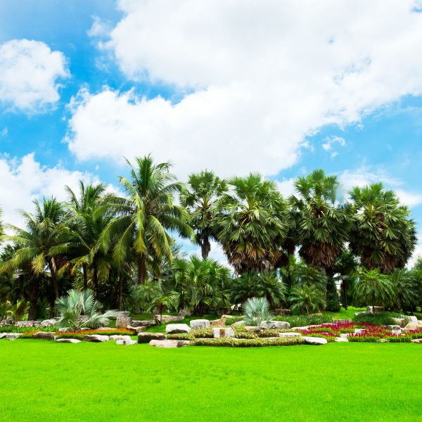 Tropical Landscaping in Plant City