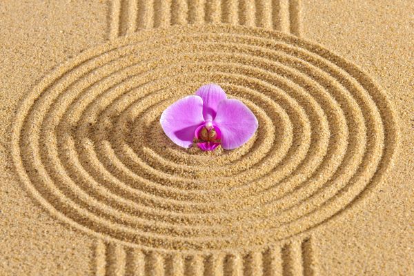 Sand Garden Landscaping in Plant City
