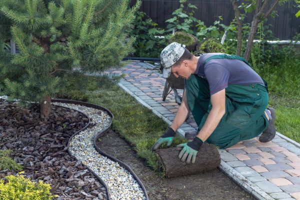 Landscaping Modification in Plant City