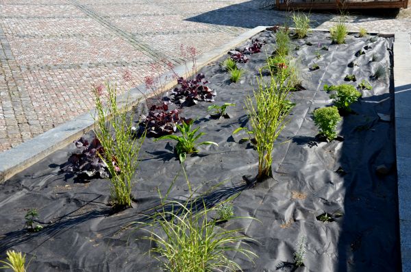 Landscape Fabric Installation in Plant City