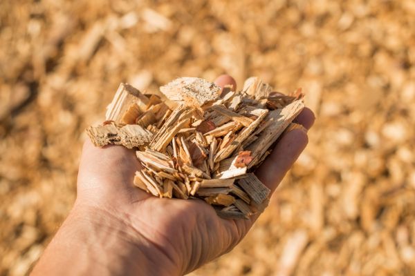 Wood Chips Spreading in Plant City