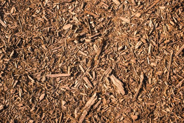 Wood Chips Removal in Plant City