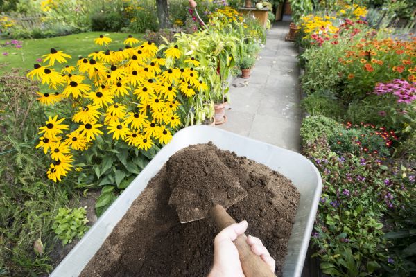 Topsoil Replacement in Plant City