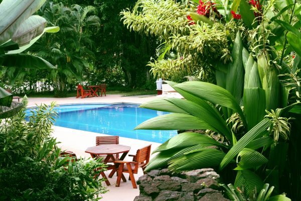 Pool Area Landscaping in Plant City