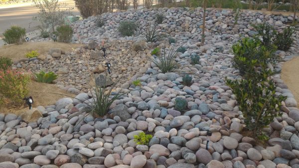 Yard Xeriscaping in Plant City