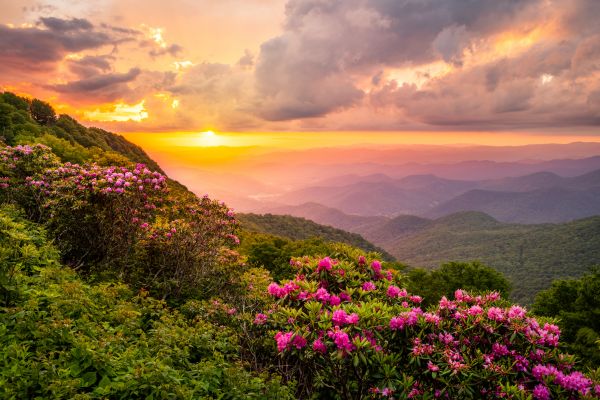 Hill Landscaping in Plant City