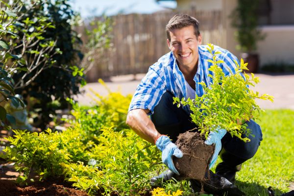 Shrub Landscaping in Plant City