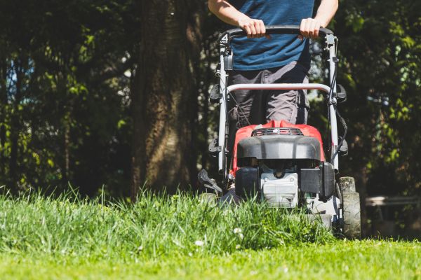 Garden Trimming Service in Plant City