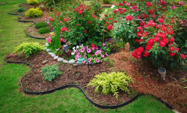 Floral Landscaping in Plant City