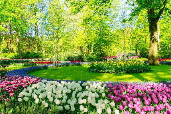 Flower Landscaping in Plant City