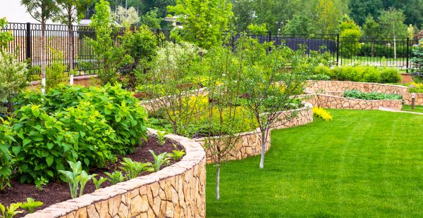 Yard Makeover Service in Plant City