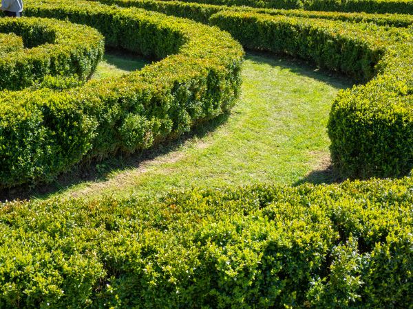 Bush Landscaping in Plant City