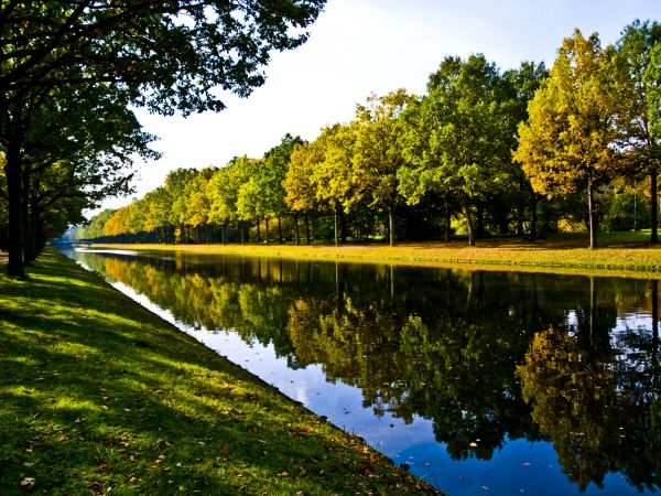 Bank Landscaping in Plant City