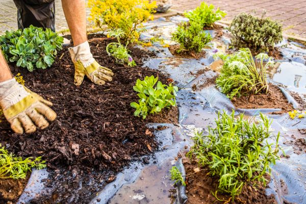 Mulch Fabric Installation in Plant City