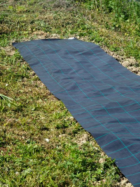 Weed Suppressant Installation in Plant City