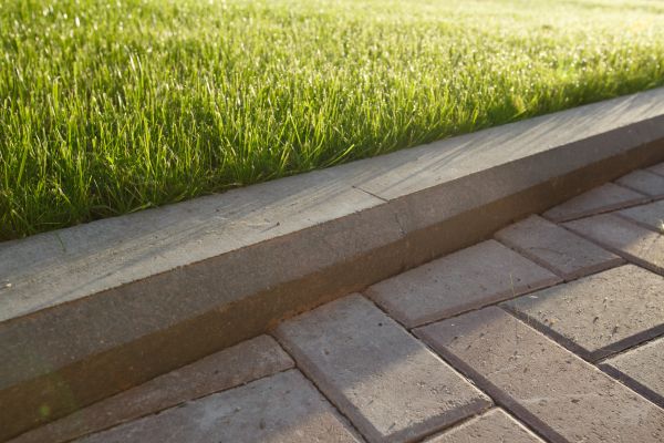 Lawn Edging Replacement in Plant City
