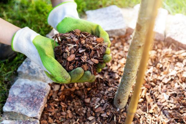 Tree Bark Delivery in Plant City