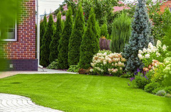 Spring Landscaping in Plant City