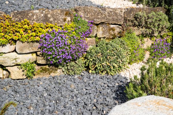 Landscaping Rocks Installation in Plant City