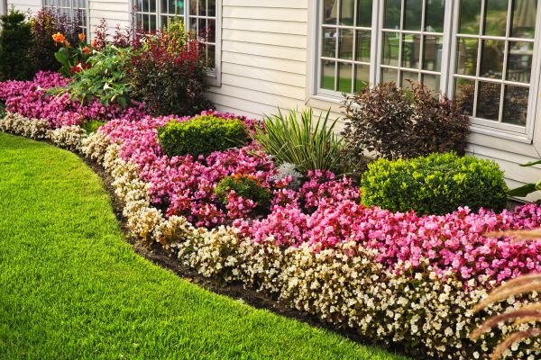 Garden Landscape Design in Plant City