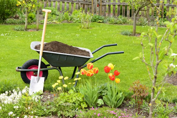 Spring Yard Renovation in Plant City